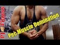 Build Massive Ripped Pecs| Chest bulge domination | Time Under Tension |