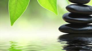 Still Point Activation