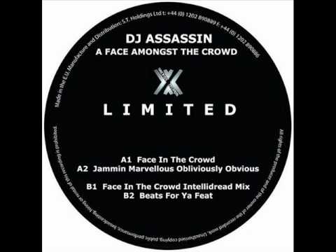 DJ Assassin - A Face In The Crowd - Original Mix