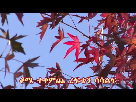Muluken Melese - Baynish Lilefibet -Baynesh Lelefebet- Endene Sewnet [ሙሉቀን መለሰ -ባይንሽ ልለፍበት] 1973 EC