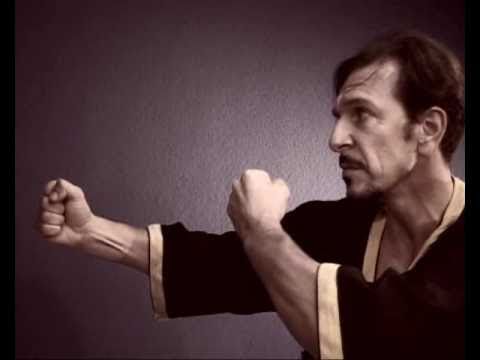 WingChun System