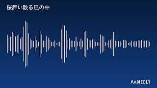 桜舞い散る風の中