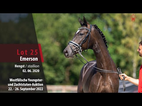 Online-Auktion Lot 25 Emerson Hengst v. Escamillo - Sir Donnerhall I