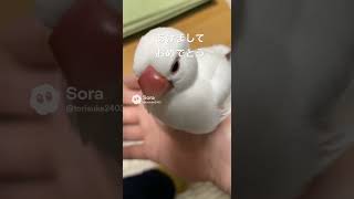 こんにちは