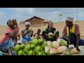 Pure African Village Life Huge Coconut Harvest Traditional Cooking
