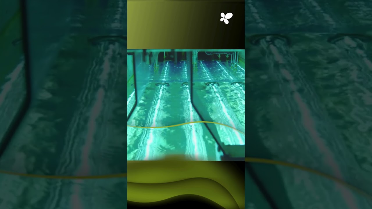 Calvià strengthens its commitment to the circular use of water