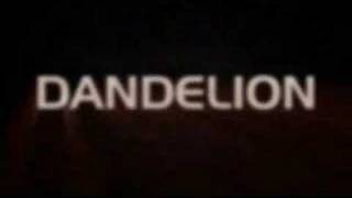 Madcon Dandelion trailer