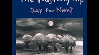 The Tragically Hip   Scared with Lyrics in Description