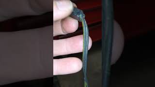1974 Dodge Charger Neutral Safety Wiring Harness Replacement