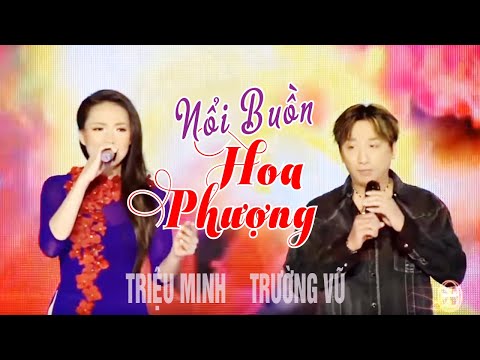 VAN SON 😊 Canada | NỔI BUỒN HOA PHƯỢNG | Trường Vũ - Triệu Minh