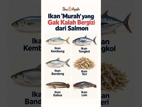 Tak Harus Salmon, Ini 6 Ikan Terjangkau yang Kaya Nutrisi #ibudanayah