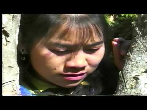 Ros los sib hlub dua - Suav Yaj