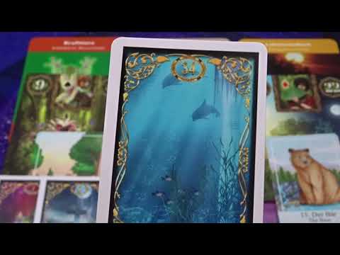 Sandmännchen Orakel 02.08.2019