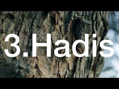 4.Hadisa od Ebu Hurejre❤️