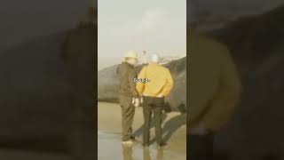 The Exploding Whale Incident