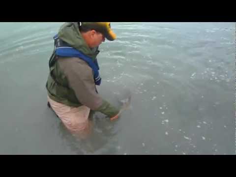 On the Kenai 27" Rainbow with Trophy Waters Guide service 2012