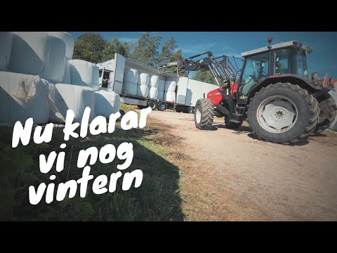 Sommarens sista dagar | lastar balar & gödslar ut | vlogg 307