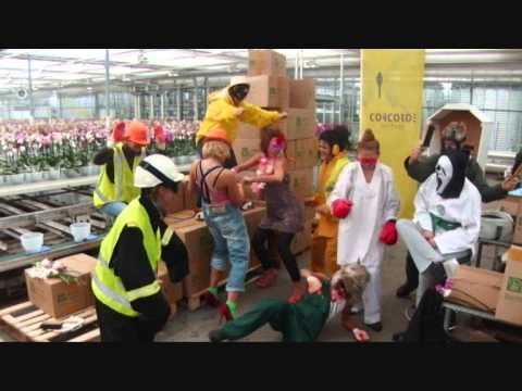 Concorde Harlem Shake