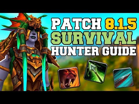 Survival Hunter DPS Guide 8.1.5 | Talents, Azerite, Rotation & Stats | World of Warcraft | WoW BfA