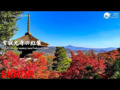 常寂光寺の紅葉 Autumn Leaves of Jojakkoji [8KHDR]