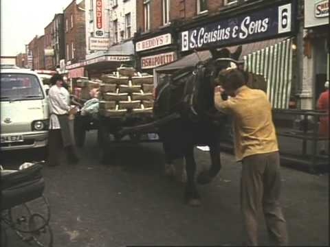 Hands 25 Work horses