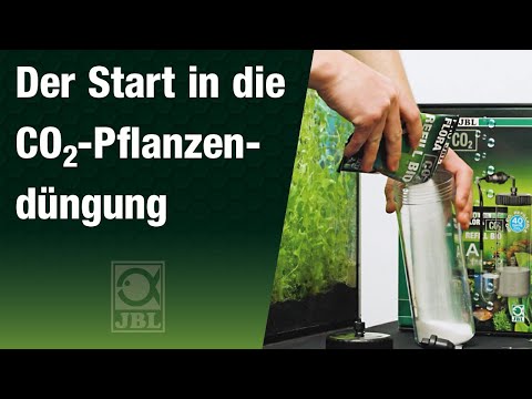 Aquarienpflanzen düngen mit einem BIO CO2 System - Schnell und günstig einsteigen