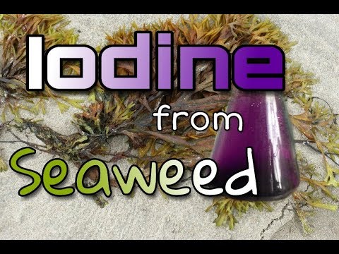 download lagu mp3 mp4 Sweetweed Fr, download lagu Sweetweed Fr gratis, unduh video klip Sweetweed Fr