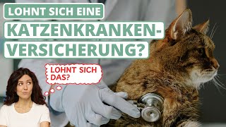 Lohnt sich eine Katzenkrankenversicherung?