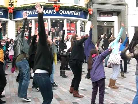 Mr Blue Sky -- Cork Flash Mob