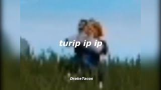 Cover art for turip ip ip