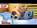 Cleanin Pup Puppy Dog Pals Disneyjr