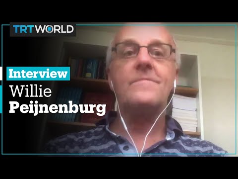 Microplastics can contaminate fruits, vegetables: study finds