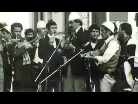 Bajrush Doda - Hajdar Doda - Ismet Mushkolaj-Hamez Lokaj Kënga Hazir Syles