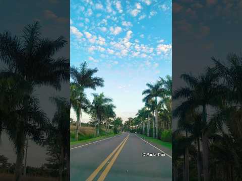 Nova Olímpia Pr #shortsviral #shorts #novaolimpiapr #viagem #cidadesdoparana #paraná #taxi #cidade