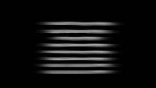 STUPID, DUMB, AND HYPHY (SCWEEZ feat. Mistah Fab) with Lyrics