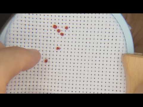 So sticke ich den #French Knot #Knötchenstich #Französischer Knoten #229