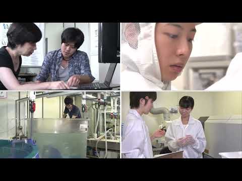 研究所紹介映像｜大気海洋研について｜東京大学大気海洋研究所