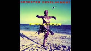 Arrested Development  – Fountain Of Youth   Zingalamaduni