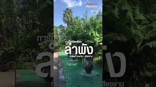 เรียนรู้ที่จะอยู่เพียงลำพัง