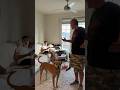 calling my husband daddy in front of my dad #shorts