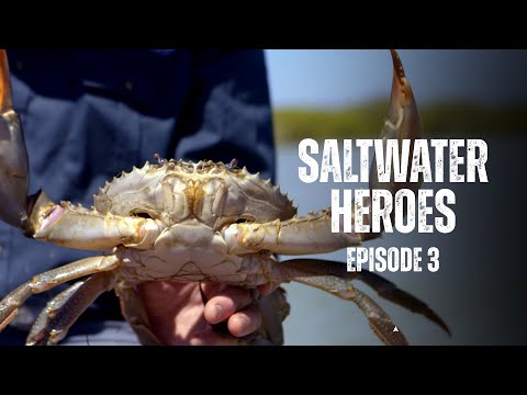Saltwater Heroes | FULL EPISODE "Queensland" with Great Barrier Reef