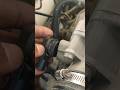 Throttle Position Sensor Shorts