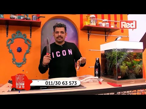 RECEPT: Borini BATACI SA MASLINOVIM ULJEM (Pečurke) - Ne Gledam Ti Ja To - 21.02.2022 - Red TV
