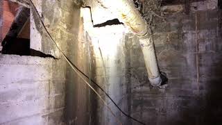 Basement inspection with raw sewage and extensive termite damage.