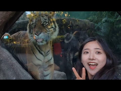 2022 06 05 TRYING TO SEE SHARKS WITH WATER DRONE