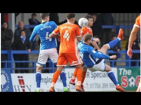 Football League: Cardiff keep up the pressure as Shrewsbury slip at Rochdale