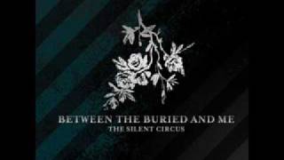 Between the Buried and Me - Camilla Rhodes 8-Bit