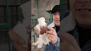 Download lagu 23 декабря 2025 г. mp3