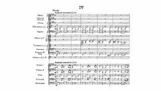 Cover art for 차5 1악장 피치카토연습