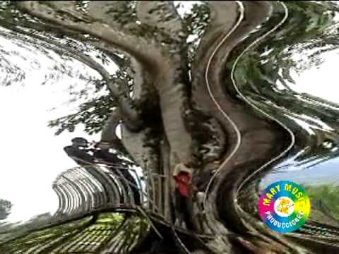 Néctar de verano - Mishely y Arena Banda Show